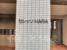ランドマーク