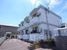 ホワイトアウル