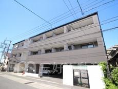 ステラＭ