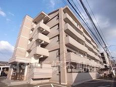 サンシャイン産の宮