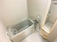 バス
