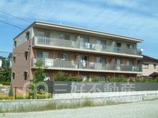 プレリュード片縄