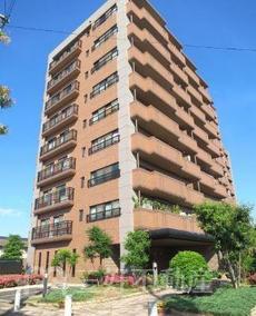 アメックス那珂川