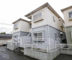 ピナクルセブン