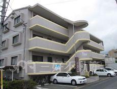 ＤＡＩＳＨＯＴＯＷＮ片縄