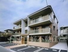 ステラオーキッド