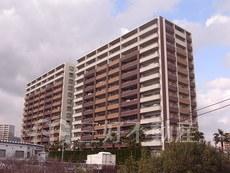 エバーライフパセオ博多南・イーストコート