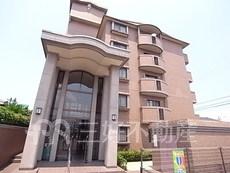 メゾンドール渡辺