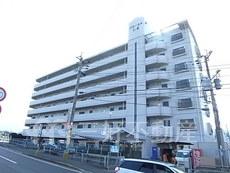 フローラルＴＳ