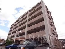 エターナルそつ啄館