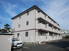 ワイオミング3タムラ