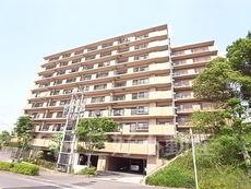 ジョイナス博多南