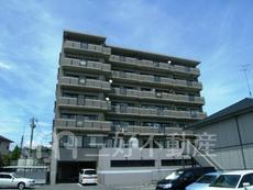 サンフォーレ舞音