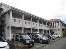 メモリーアップル1