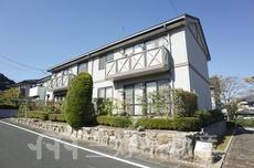 フレグランス天拝