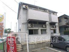 ハイデンス天拝