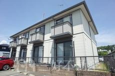 アンジェリーク