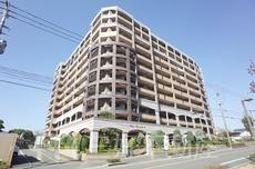 アンピール美しが丘