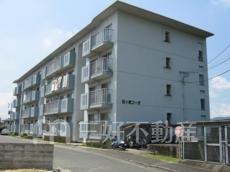 フォーサイト紫Ｒ・Ｖｉｅｗ　ｔｅｒｒａｃｅ