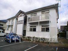 アイディアル24