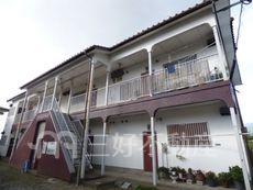 パープルビレッジ