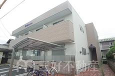 Ｈｉｒｔｏｎ　ｎｉｃａ