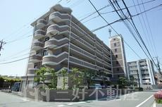 ホープ佐野