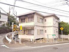 アイビス紫