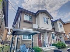 パープルコート塩浸Ｈ