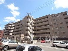 エバーライフ南福岡