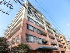 アムール笹原南