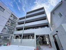 ＲＡＹ　ＧＲＡＹＤ　ｓｈｉｎｏｎｏｍｅ