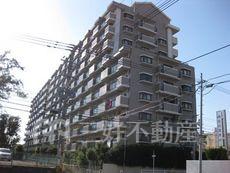 アンピール空港通り