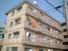 サンフラワー吉塚