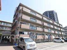 ★ロマンス・リコ