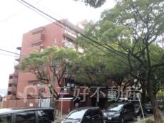 ライオンズマンション香椎宮参道