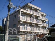 アルカディア山王