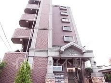 ラフィネ板付