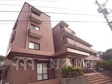 ルネス・アヴェニール