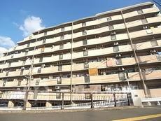 アンピール第３板付